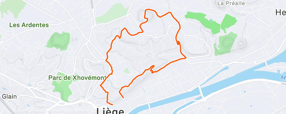 Карта физической активности (Bla-bla Fox 🦊)