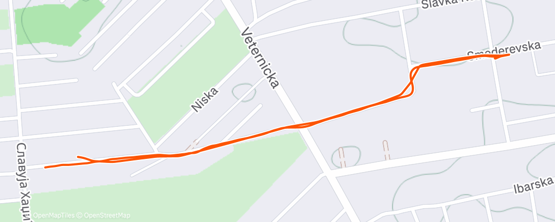 Map of the activity, Night Walk