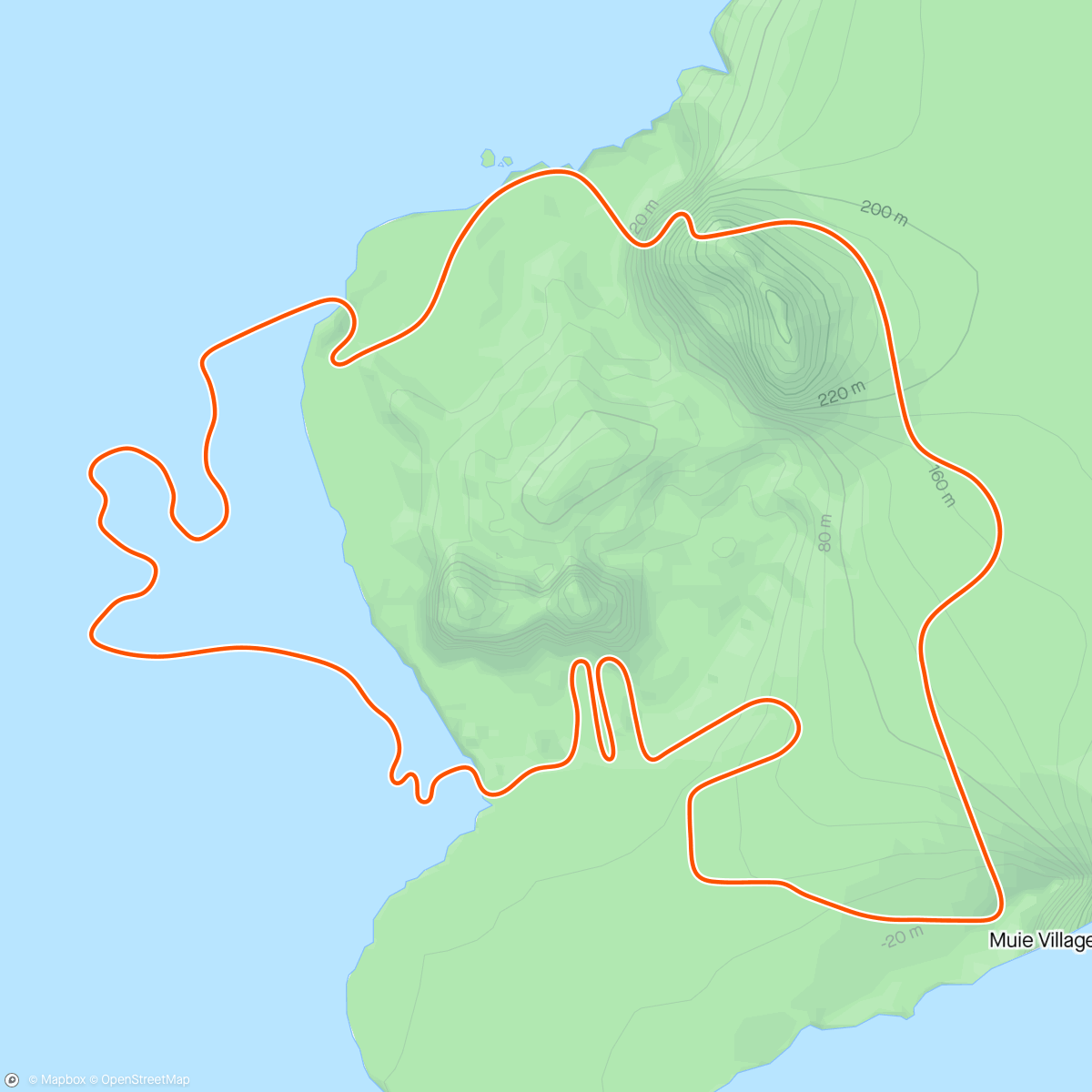 Map of the activity, Zwift - Freeride and Cooldown in Watopia