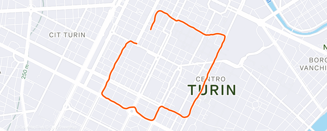 Карта физической активности (Corsa pomeridiana)