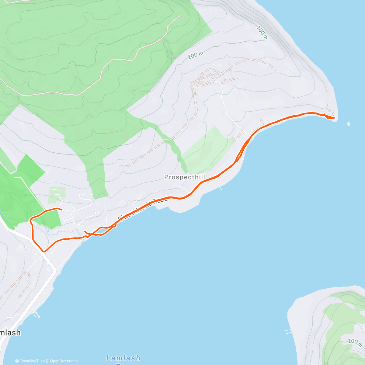 Карта физической активности (Lovely Afternoon…. 🐶 & Me!)