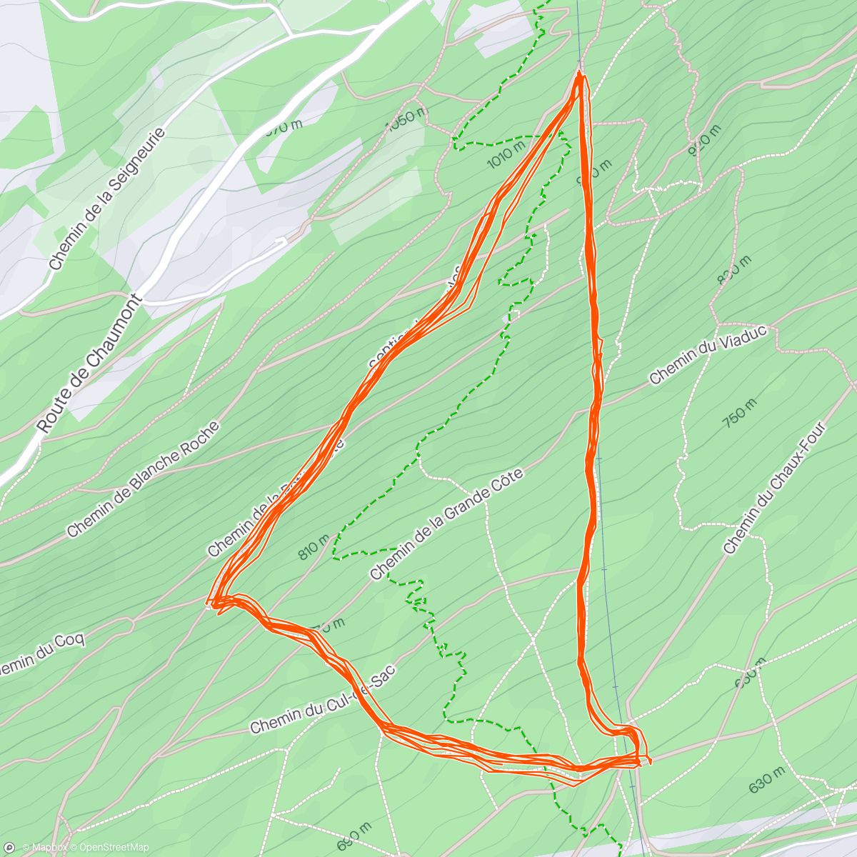 Map of the activity, Le dernier survivant 2024