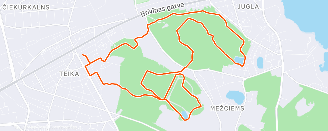 Карта физической активности (Morning Trail Run)