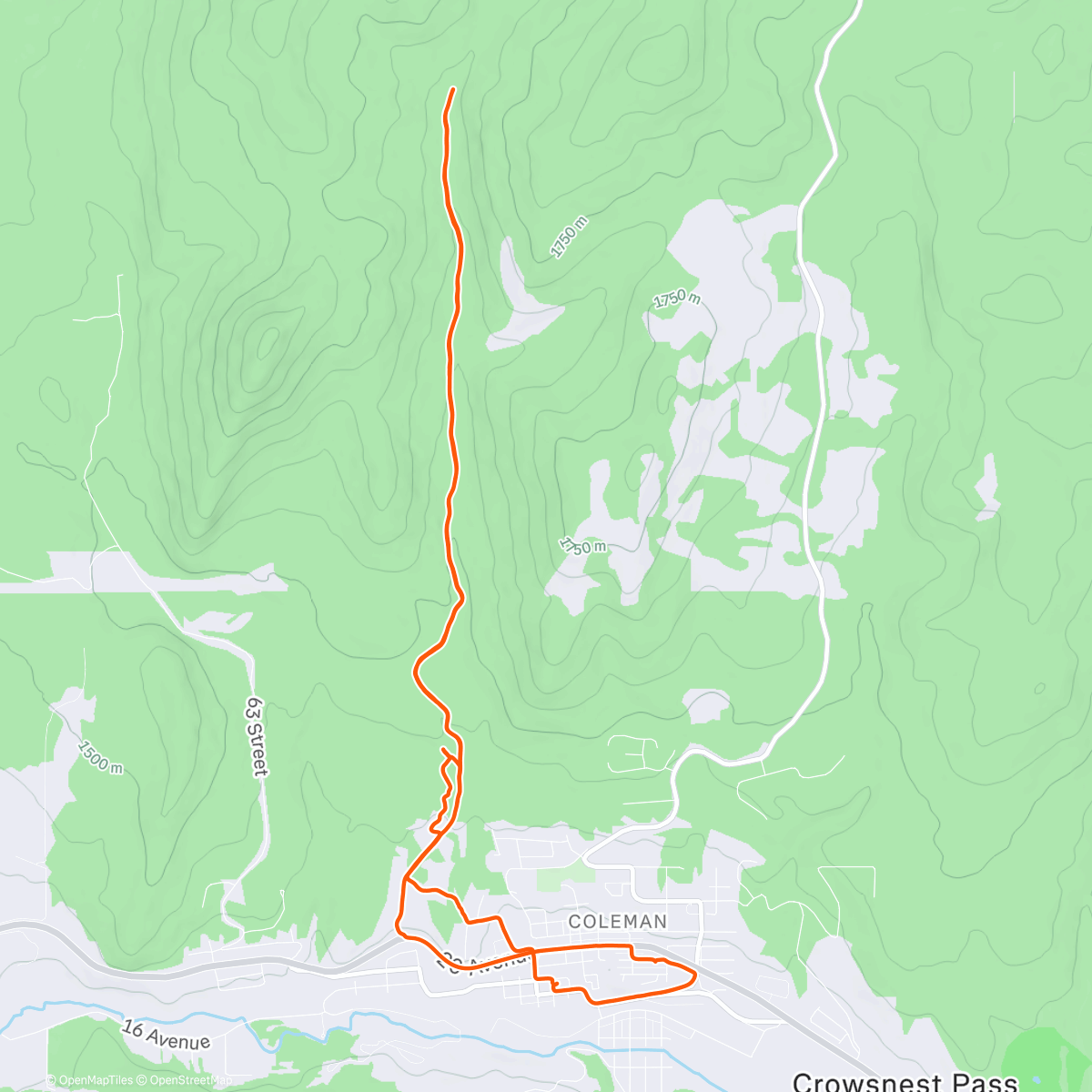 Map of the activity, - 12