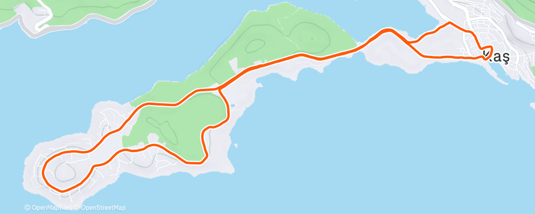 Карта физической активности (Morning Run)