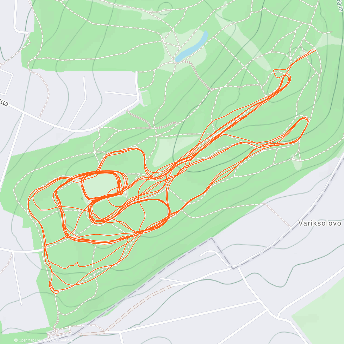 Map of the activity, Лыжи открытие сезона в Дудергофе!