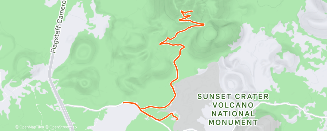 Map of the activity, take your pups to work day