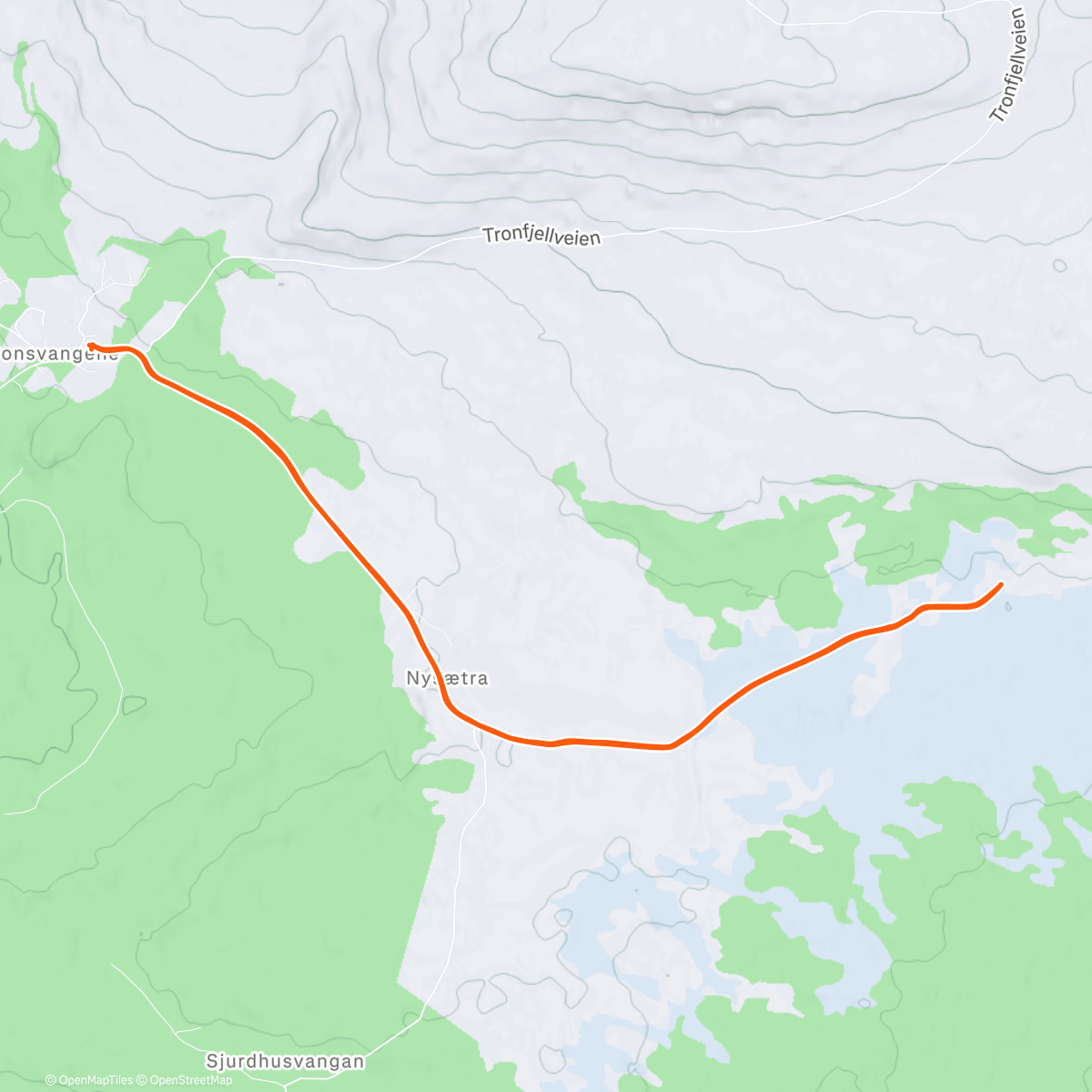 Карта физической активности (Afternoon Nordic Ski)