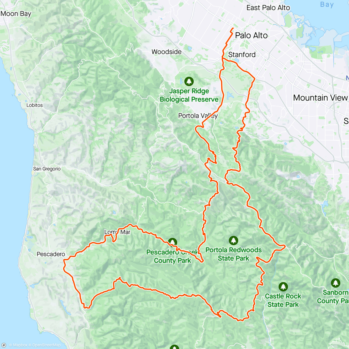 Map of the activity, tree hopping with flomaster