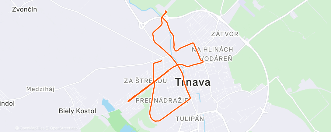 Карта физической активности (Morning Trail Run)