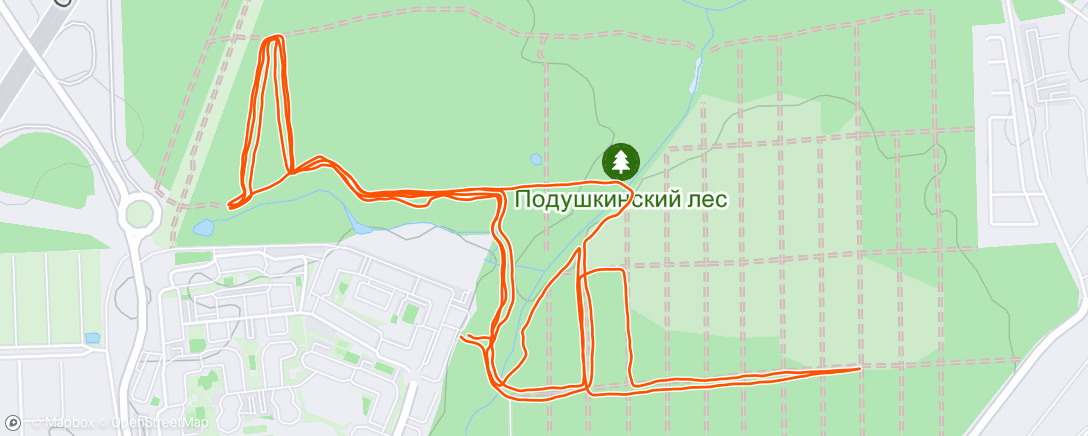 Map of the activity, Утренний забег