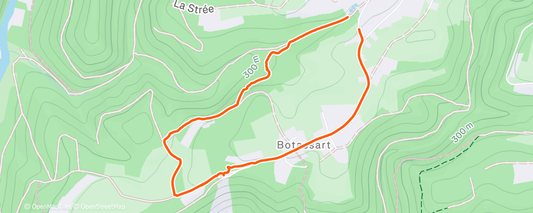 Map of the activity, Afternoon Trail Run