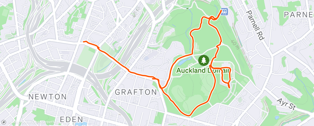 Map of the activity, Auckland Marathon Prep - Run 1