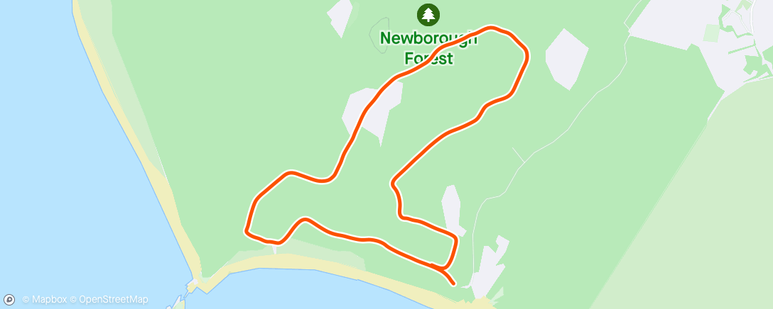 Map of the activity, Newborough Forest parkrun, Anglesey 🏴󠁧󠁢󠁷󠁬󠁳󠁿