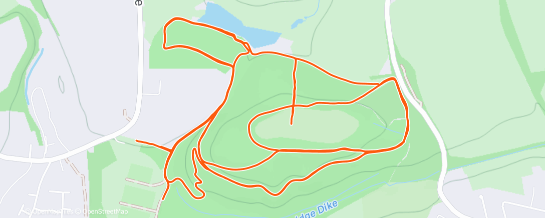 Map of the activity, Zone 2 with missed strides due to helping a girl who fell off a horse