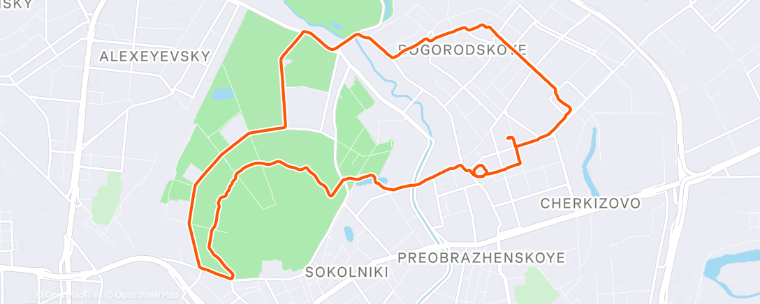 Map of the activity, Morning Run
