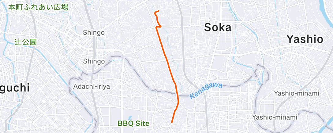 Map of the activity, 夜のランニング