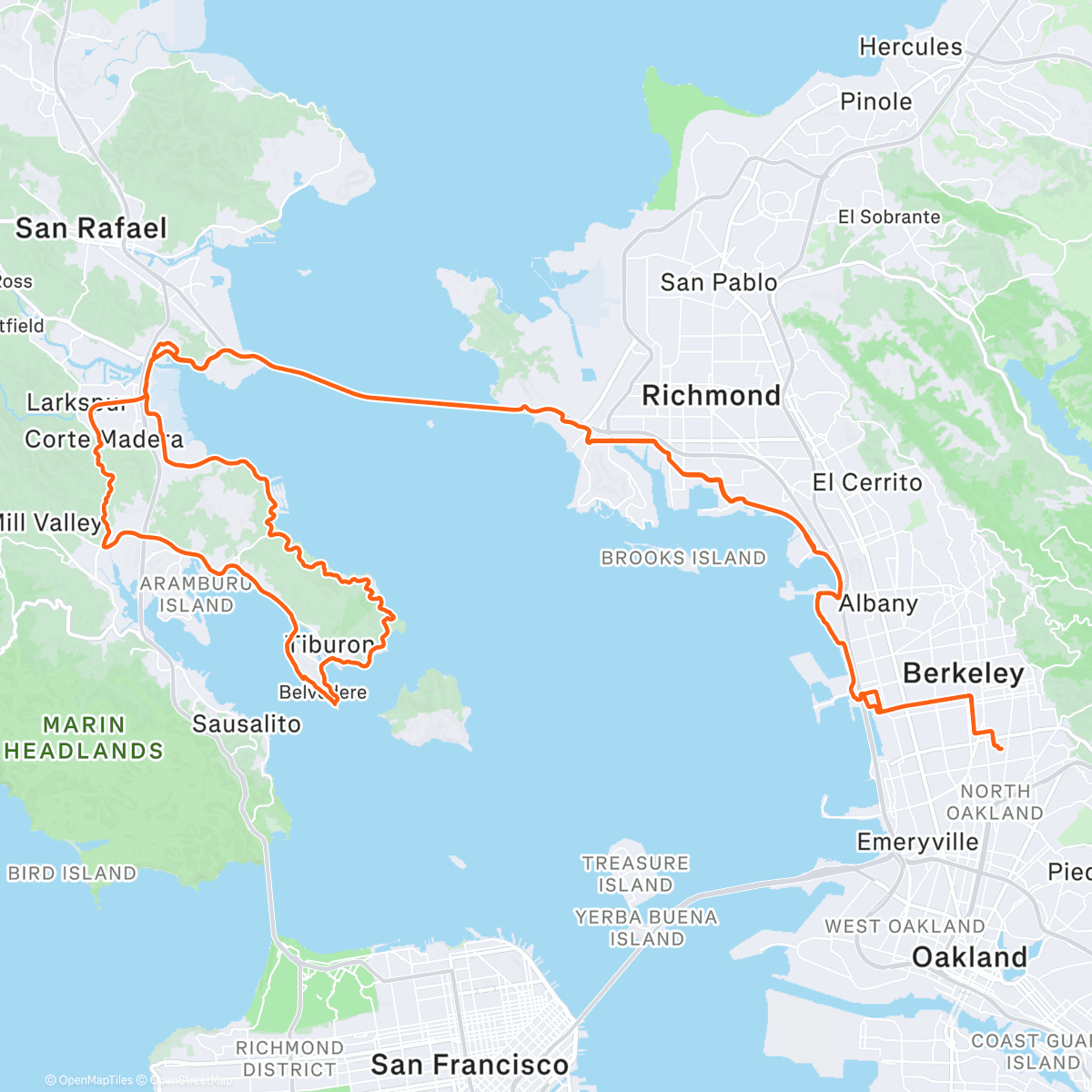 Map of the activity, Z2 IRL