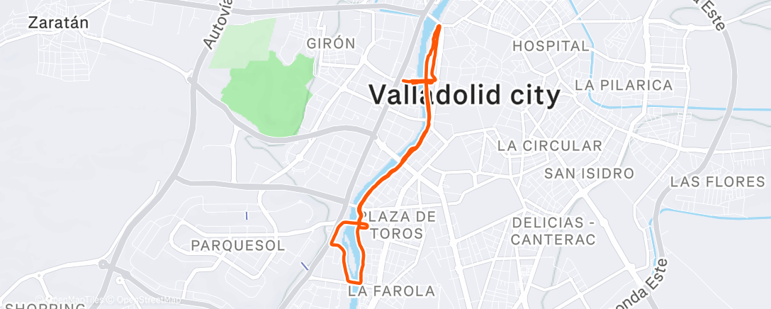 Map of the activity, Z1