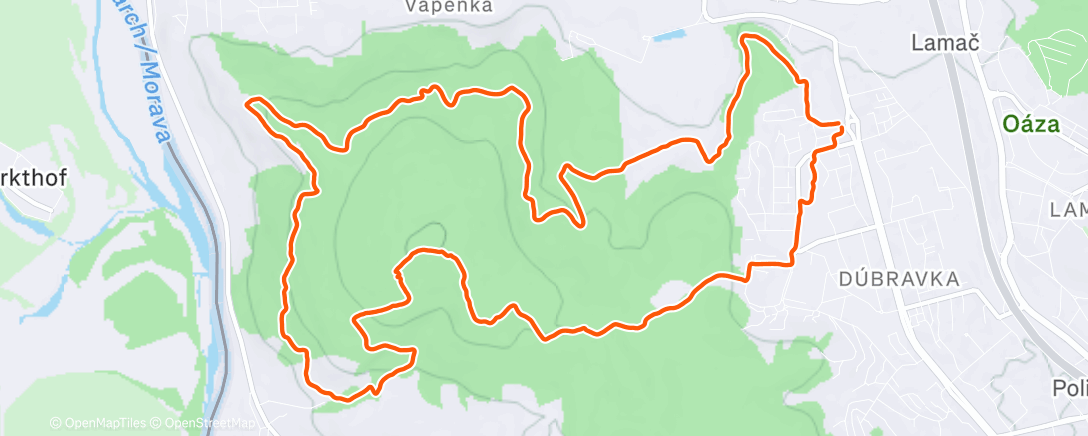 Map of the activity, Morning Run