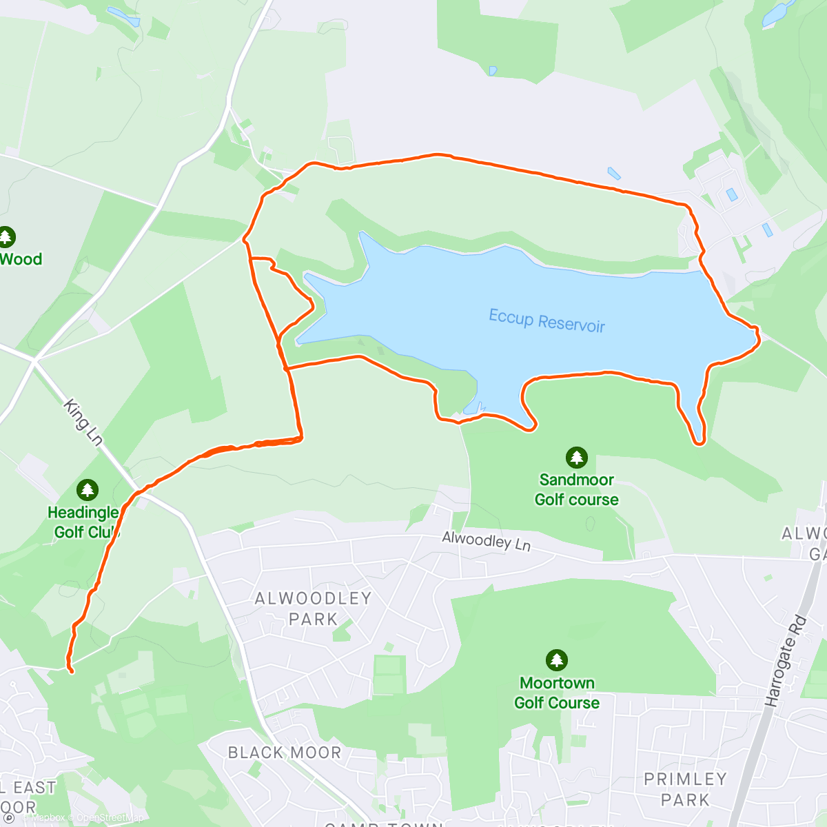 Map of the activity, A wander with the doggies 🐕