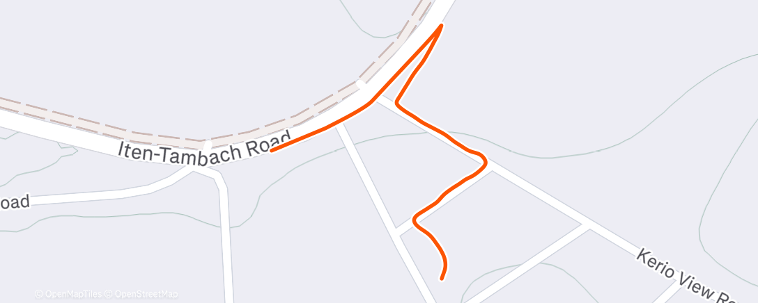 Карта физической активности (Morning Walk)