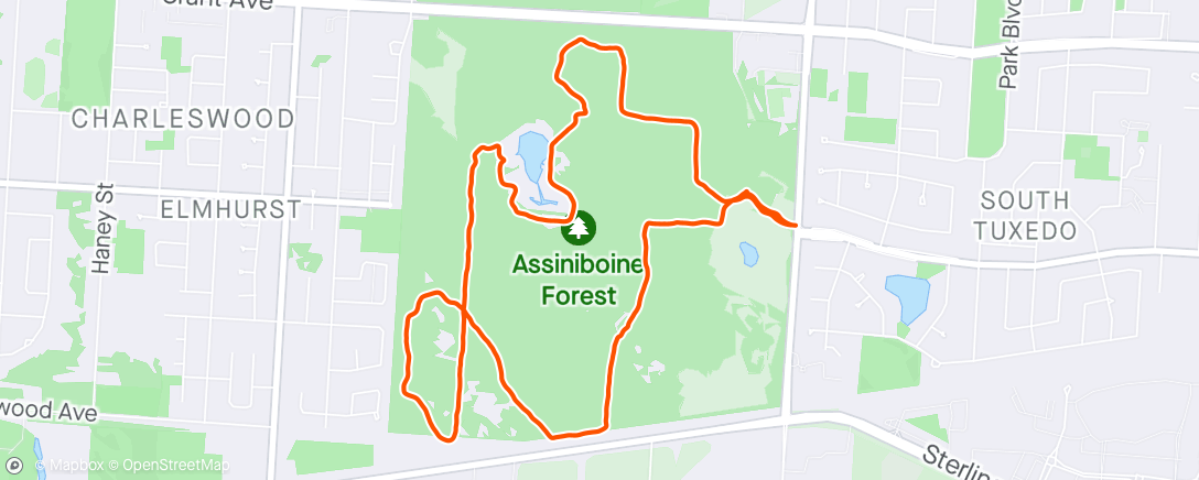 Mappa dell'attività Forest Run with Jett Cycling