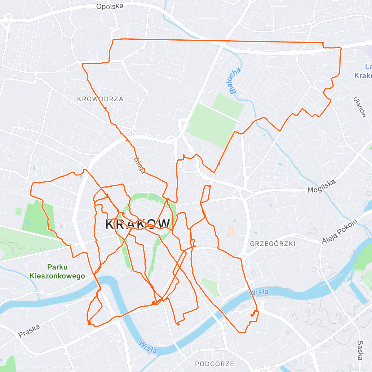 Карта физической активности (heweliusz (2025))