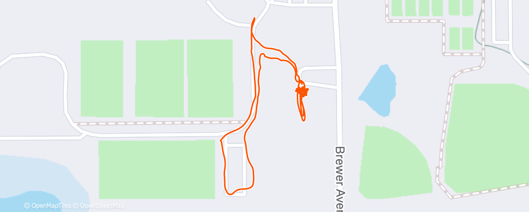 Map of the activity, Afternoon Walk