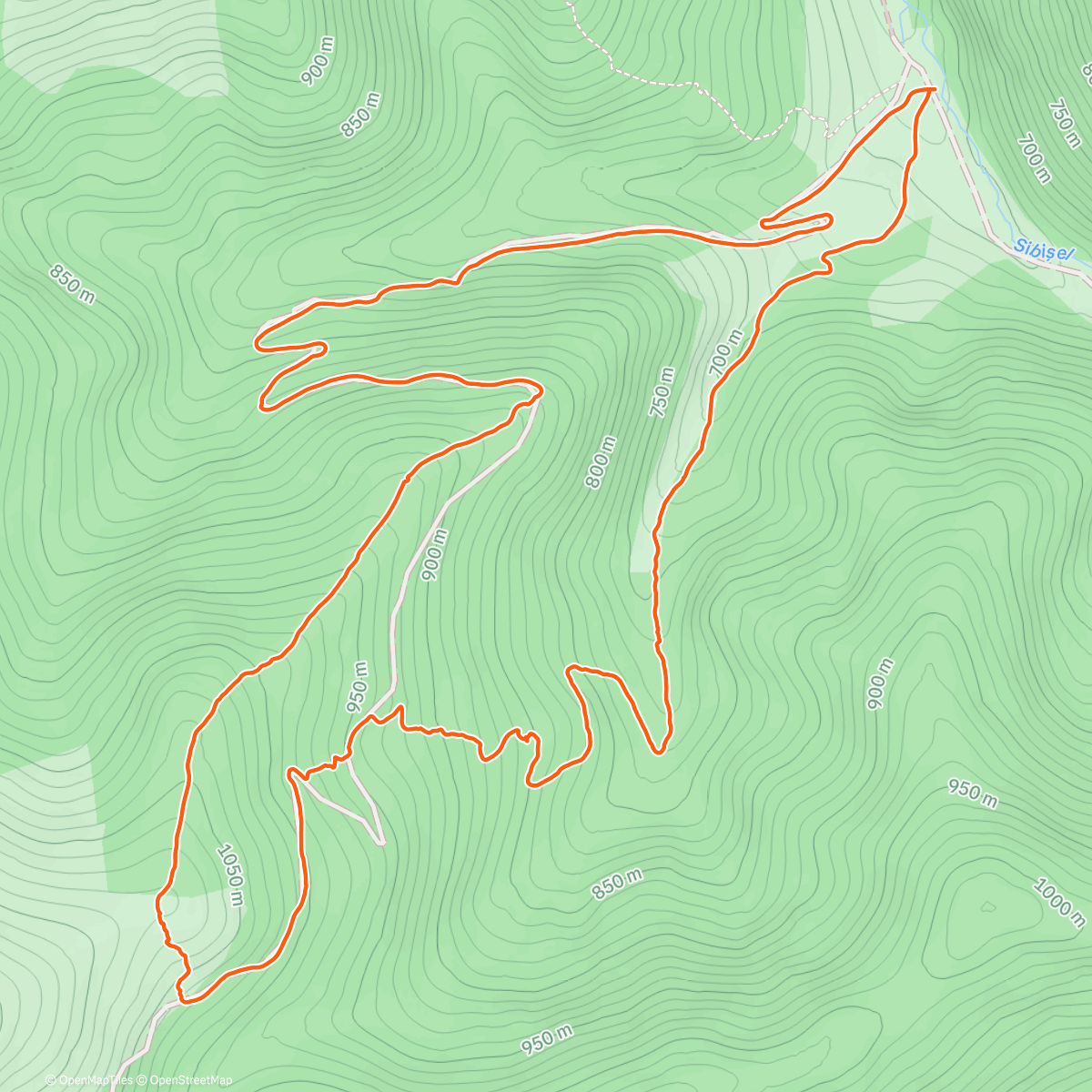 Карта физической активности (Rășinari Trail Run: 70min PI)