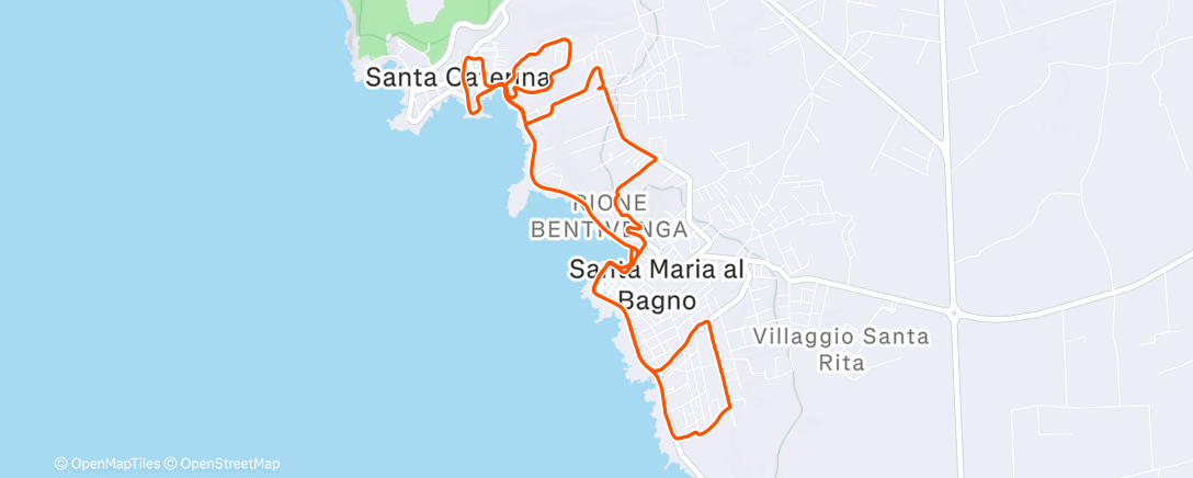 Карта физической активности (Panettone sospeso run)