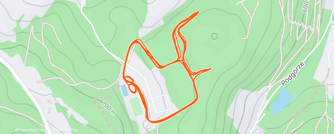 Карта физической активности (Afternoon Nordic Ski)