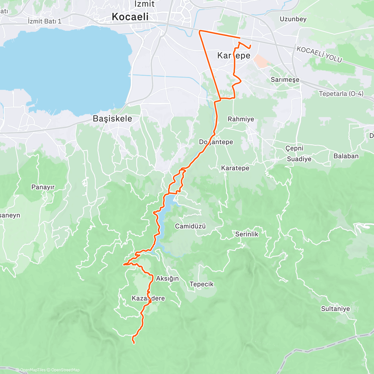 Карта физической активности (Morning Ride)