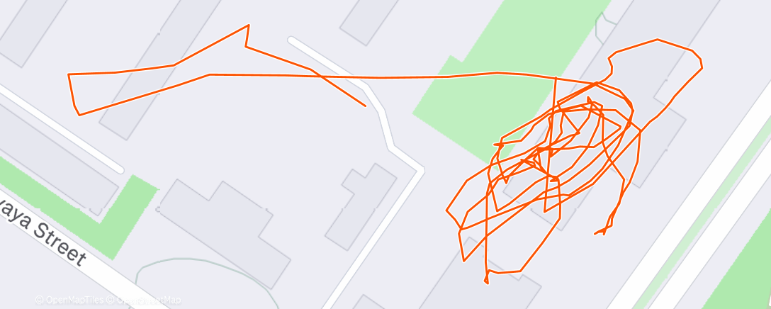 Карта физической активности (Вечерний забег)