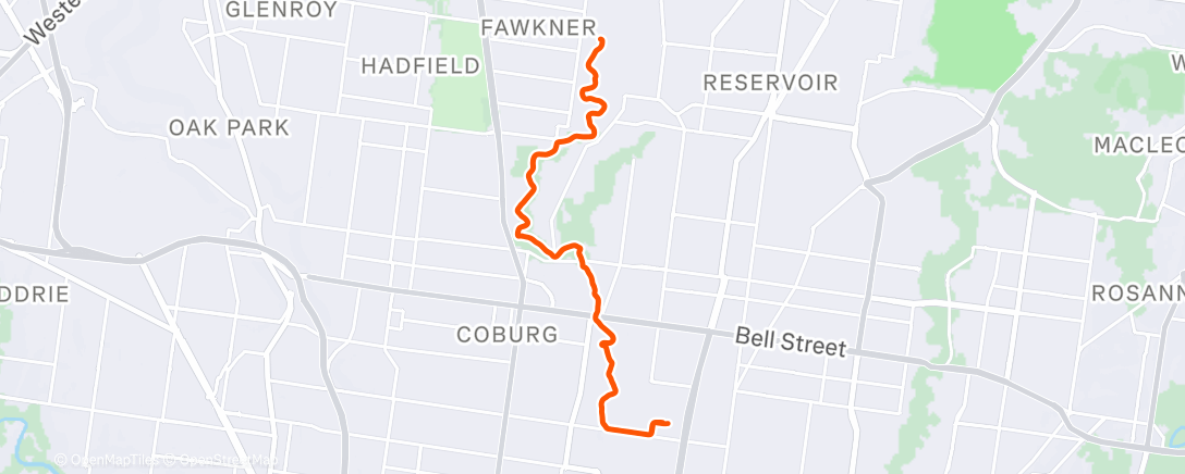 Карта физической активности (100 mins)