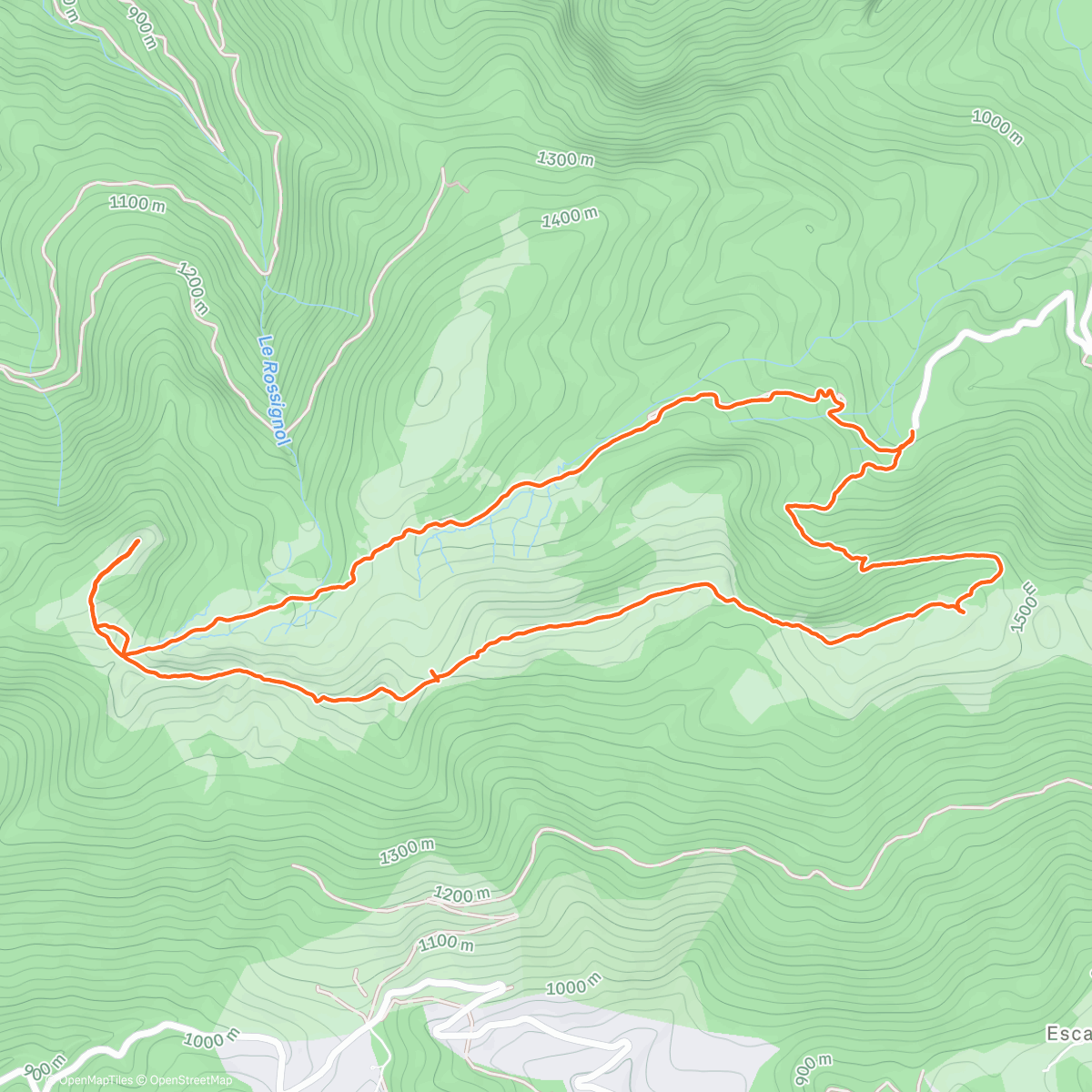 Карта физической активности (Rando Trail)