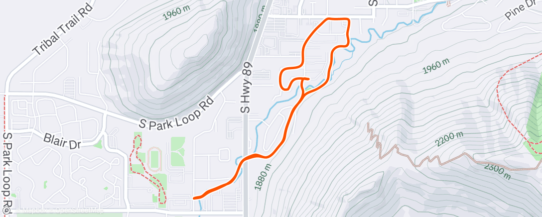 Map of the activity, Night Trail Run