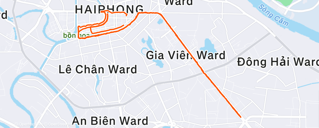 Map of the activity, Night Run