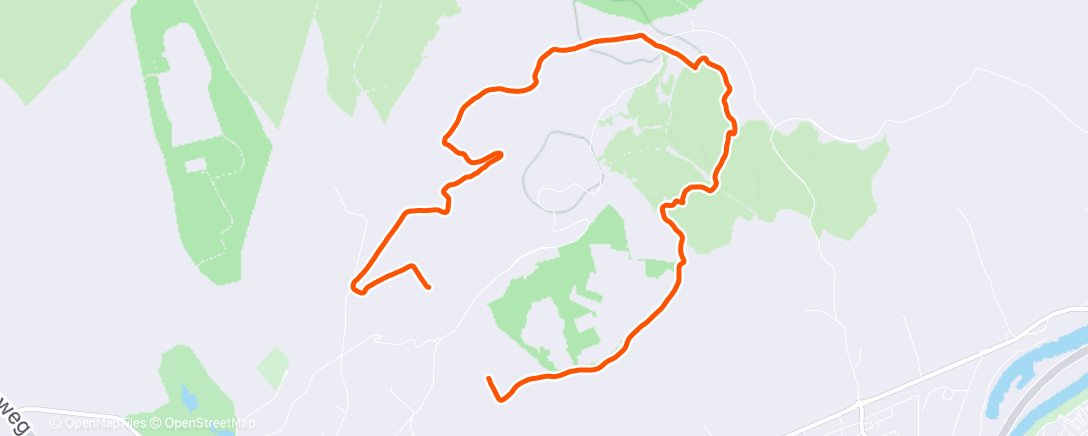 Карта физической активности (Lunch Run)