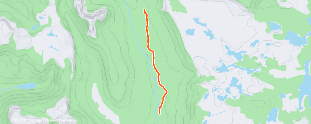 Карта физической активности (Evening Run)