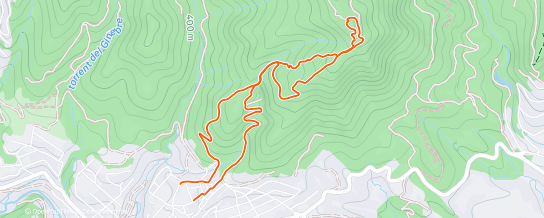 Map of the activity, Morning Trail Run