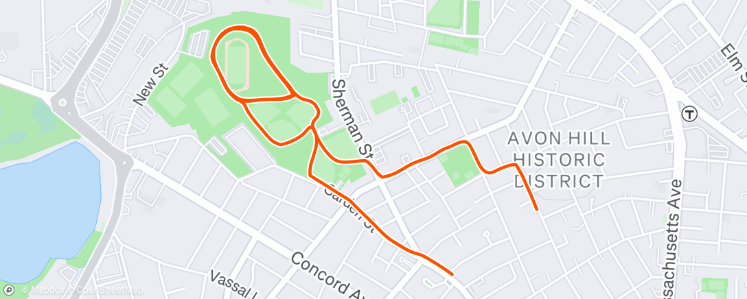 Map of the activity, Flushing the legs