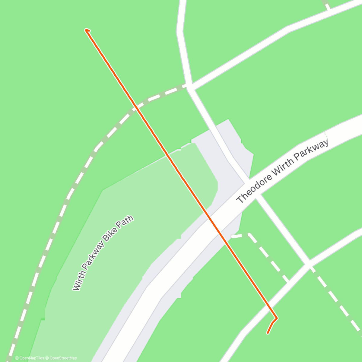 Карта физической активности (Lunch Nordic Ski)