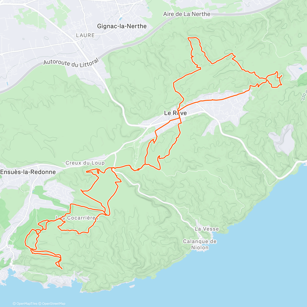 Map of the activity, Back home