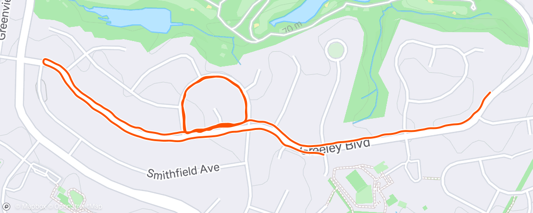 Map of the activity, Morning Run
