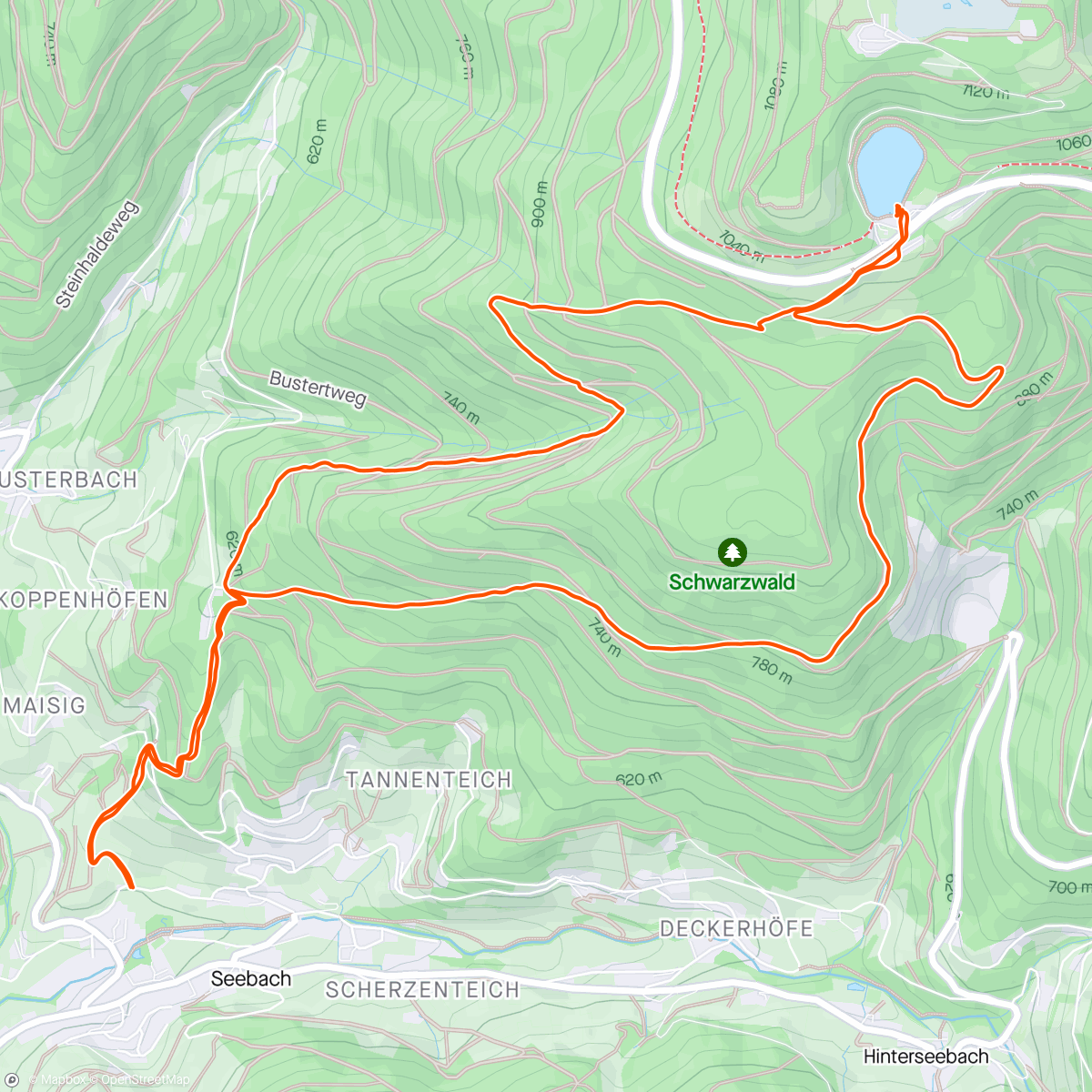 Map of the activity, Seebach - Mummelsee - Currywurst