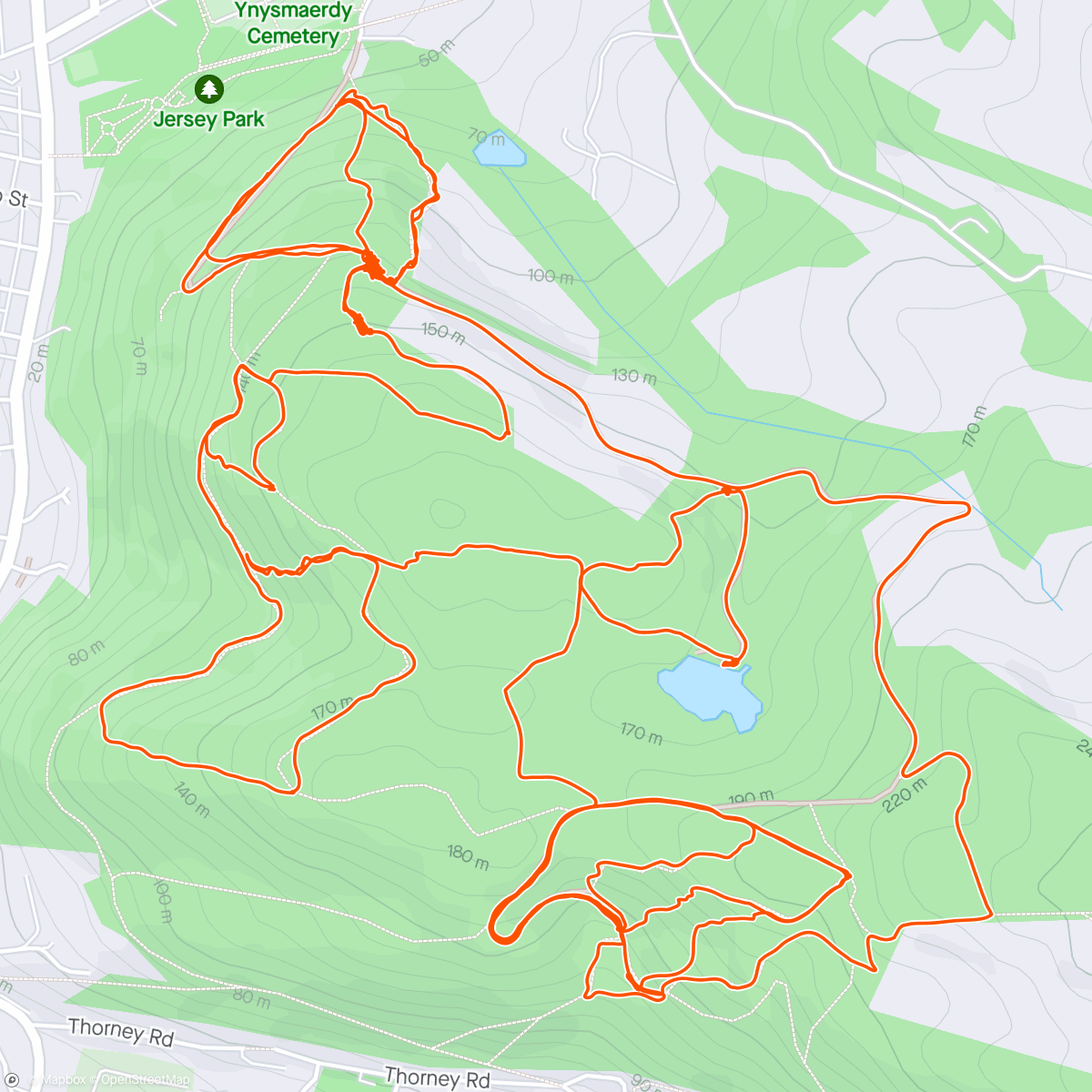 Mapa da atividade, Sunday 🌞 Bluebells Loop