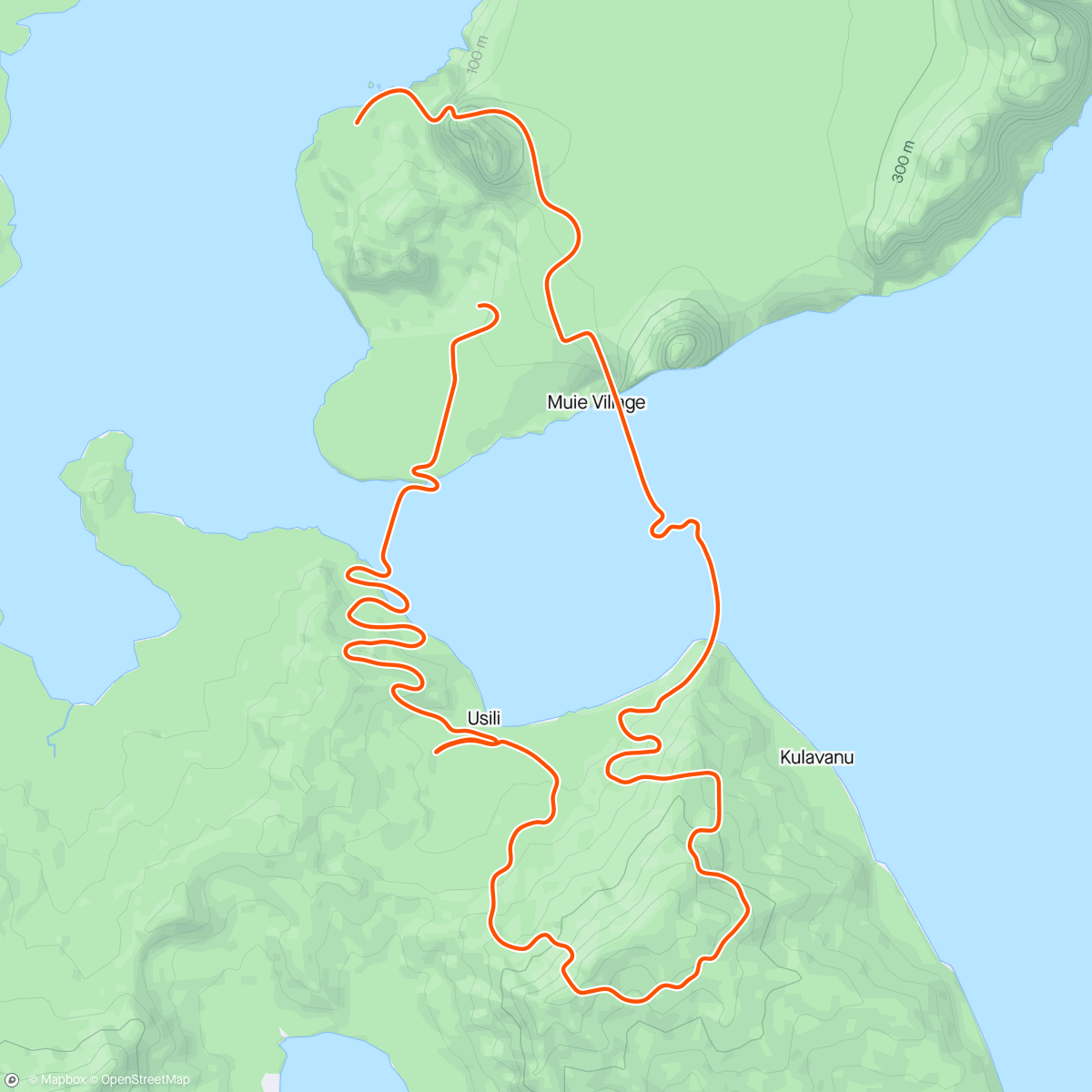 Map of the activity, Zwift - easy day