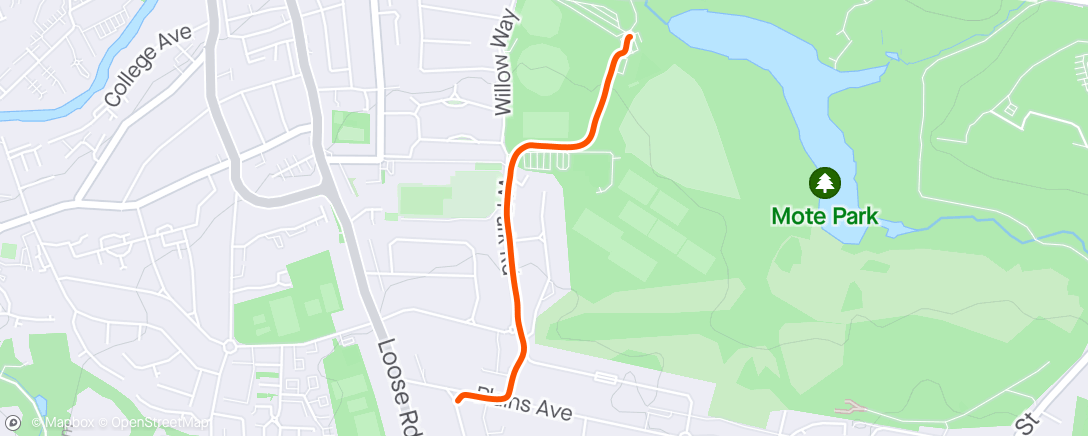 Map of the activity, Weight mof session and walk home