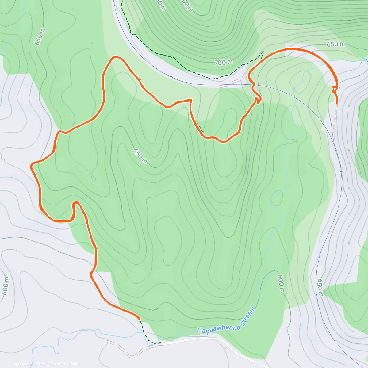 Карта физической активности (Hapuawhenua Viaduct)